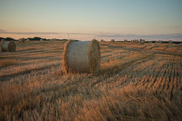 Sodrott Szalmatekercs Mezőn Naplementekor — Stock Fotó