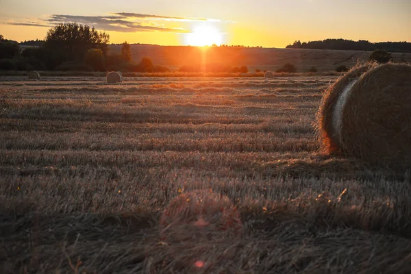 Rolos Torcidos Palha Campo Pôr Sol — Fotografia de Stock