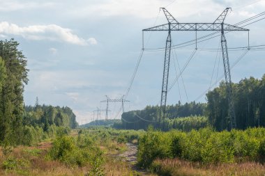 Ormanda yüksek voltajlı elektrik hattı var..