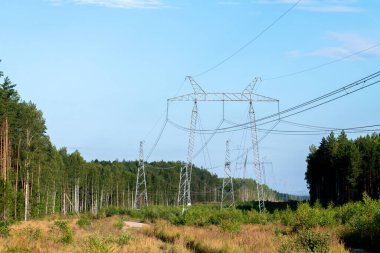 Ormanda yüksek voltajlı elektrik hattı var..