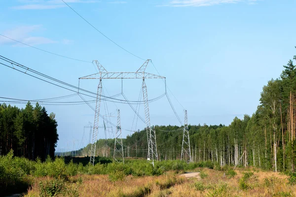 Högspänningsledning Skogen — Stockfoto