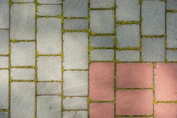 Sokaklarda sıra dışı şekilli levhalar oluşturuyorlar.