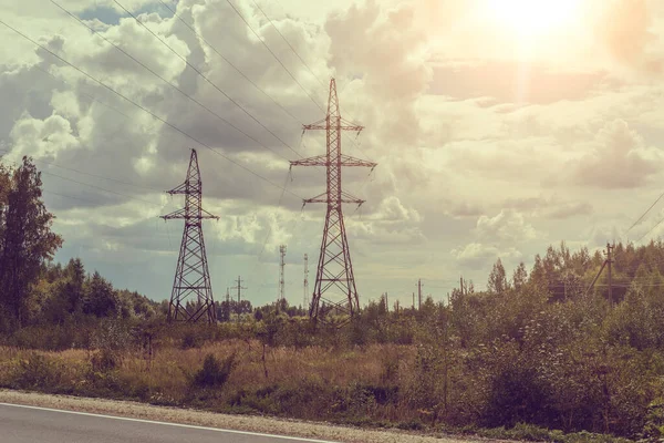 道路脇の植林地内の高圧送電線 — ストック写真