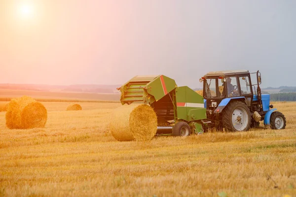 Production Straw Rolls Tractor Field Stock Picture