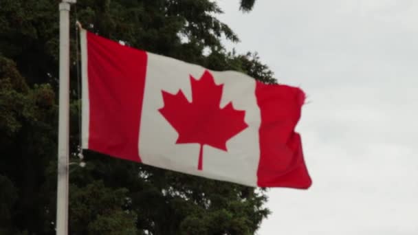 Kanadische Flagge Reiten Mountain National Park Kanada — Stockvideo