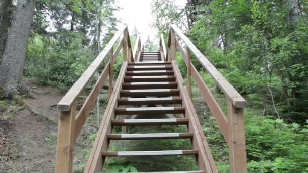 加拿大骑马山国家公园森林楼梯 — 图库视频影像