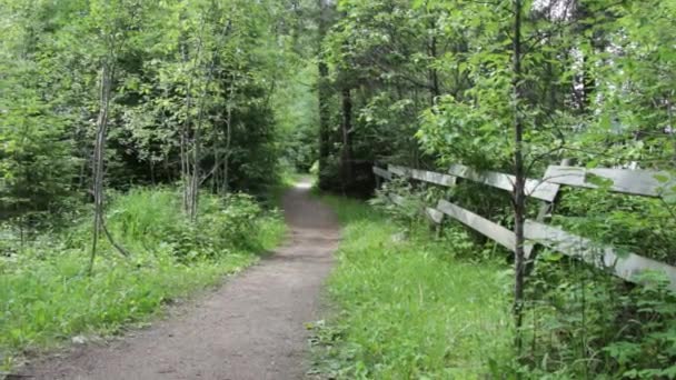 Sentier Parc National Mont Riding Canada — Video