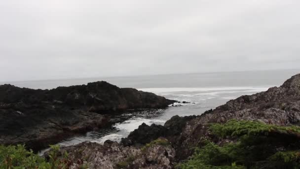 Νερό Και Cliffs Τοπίο Στο Tofino Βρετανική Κολομβία — Αρχείο Βίντεο