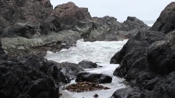 Хвилі Над Скелею Тофіно Британська Колумбія — стокове відео