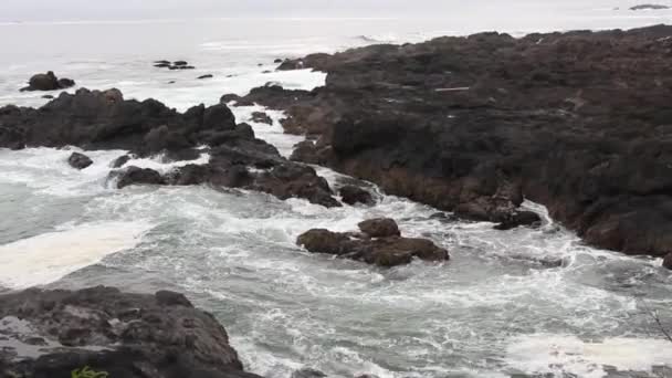 Κύματα Πάνω Από Cliff Side Στο Tofino Βρετανική Κολομβία — Αρχείο Βίντεο