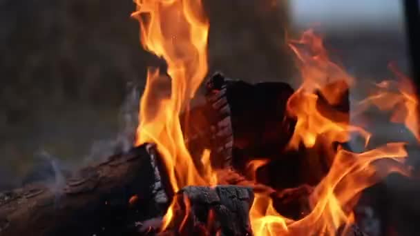 Slow Motion Bonfire Zimie — Wideo stockowe