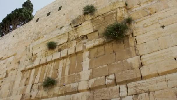 Cidade Velha Jerusalém Israel — Vídeo de Stock