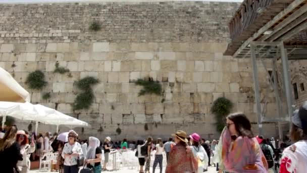 Tembok Barat Yerusalem Israel — Stok Video