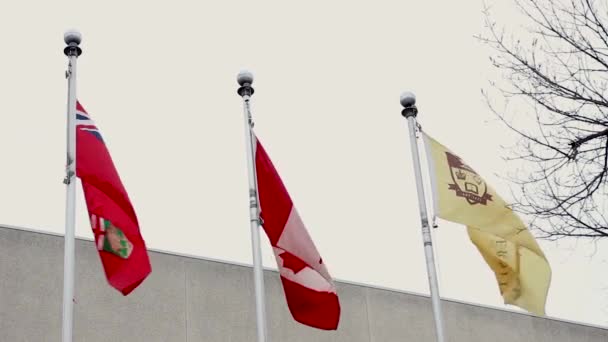 Bandeiras Universidade Manitoba Winnipeg Canadá — Vídeo de Stock