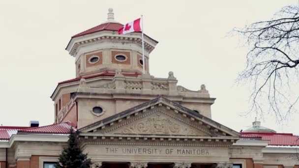 马尼托巴大学悬挂国旗的大楼 — 图库视频影像