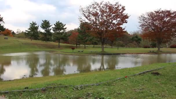 Timelapse Autumn Park Akita Japón — Vídeo de stock