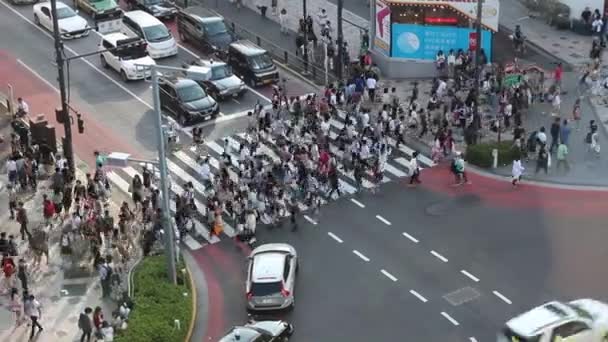 Birds Eye View Street Crossing Tokio Japonia — Wideo stockowe