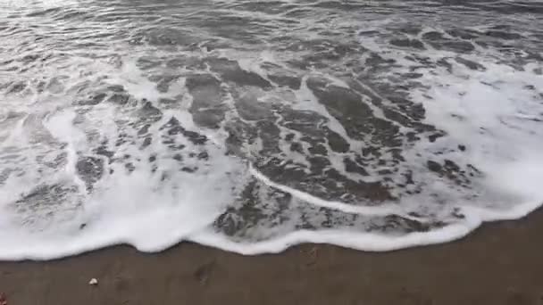 Gezeitenwasser Der Bucht Von Matsushima Japan — Stockvideo