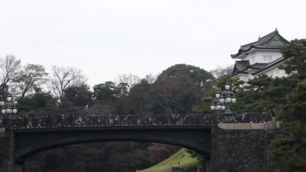 Ludzie Wchodzą Tokio Imperial Palace Urodziny Cesarza Japonii — Wideo stockowe