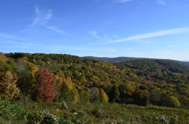 Sonbaharın ilk işaretleri
