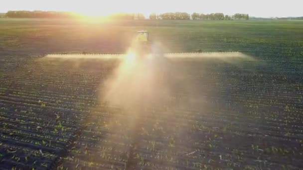 Bir Dron Püskürtme Bir Alanda Gün Batımında Çekim Çiftlikte Alanda — Stok video