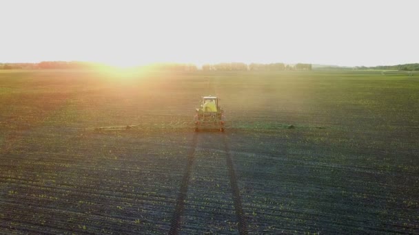 在日落的田野里用无人机的喷雾器射击 农场作业拖拉机喷雾机的顶部视图 — 图库视频影像