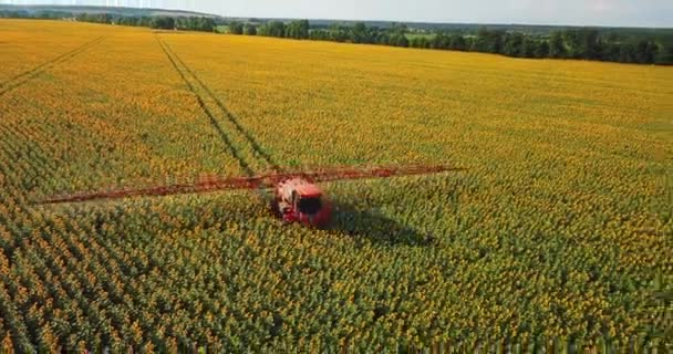 Der Traktor Bestreut Das Feld Mit Einer Sonnenblume Der Sprüher — Stockvideo