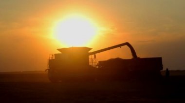 Günbatımı birleştirmek tahıl üzerinde bir damper kaldırır. Günbatımı güneş boşaltma tahıl bir hasat silüeti. 