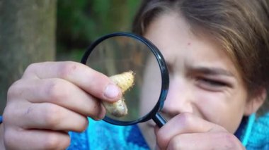 Çocuk bir larva bir böcek bir büyüteç aracılığıyla okuyor. Çocuk bir büyüteç 4 k video aracılığıyla larva izliyor. 