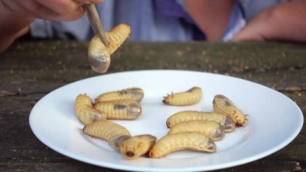 皿に生の新鮮なカブトムシの幼虫 昆虫の幼虫とエキゾチックなアジア料理 — ストック動画