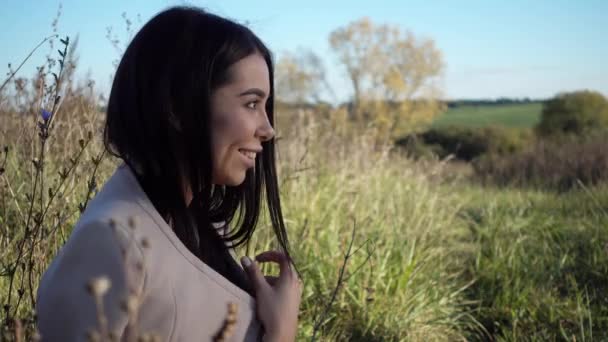 Jovem Mulher Bonita Descansando Natureza Uma Menina Senta Campo Apreciando — Vídeo de Stock