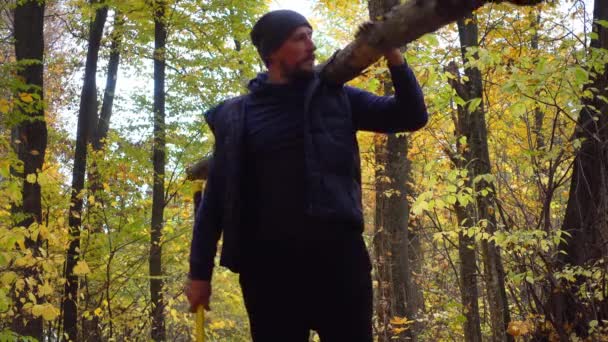 斧で森の中で秋にあごひげを生やした 斧およびフォレストのログを持つ男の肖像 — ストック動画
