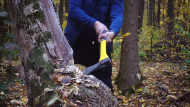 フォレスター 靴のポートレート クローズ アップ 森で斧を持つ男のクローズ アップ — ストック動画