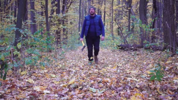 Hombre Barbudo Bosque Con Hacha Ralentizando Forestal Cortando Árboles Bosque — Vídeo de stock