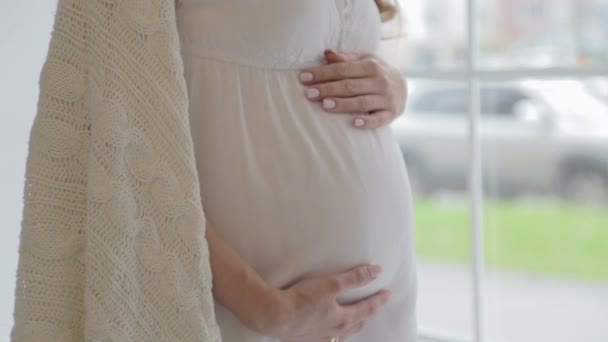 一个美丽的孕妇在家里舒适的肖像 怀孕的妇女在家庭内部 — 图库视频影像