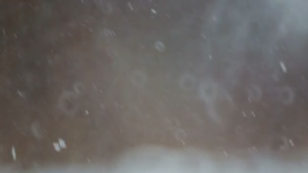 公园里的雪是在树的背景下 冬季降雪在森林特写镜头 — 图库视频影像