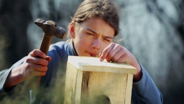Teen Boy Birdhouse Birds Child Makes Installs Birdhouse — Stock Video