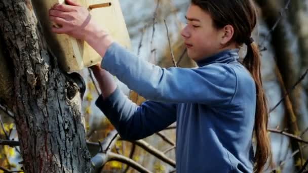 Nastolatek Chłopiec Birdhouse Dla Ptaków Dziecko Wytwarza Instaluje Birdhouse — Wideo stockowe