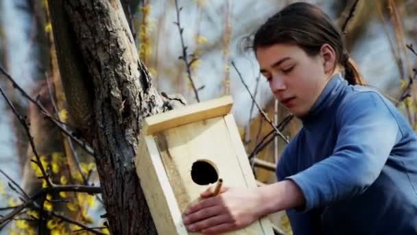 Teen Boy Birdhouse Birds Child Makes Installs Birdhouse — Stock Video