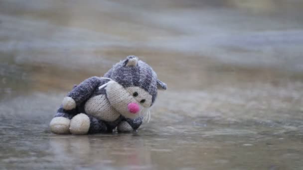 柔らかい子供のおもちゃの猫 雨の中の水たまりの中で忘れ去られました 古い廃棄された子供のおもちゃ — ストック動画