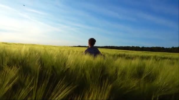 Niña Camina Felizmente Por Campo Trigo Una Joven Gira Campo — Vídeos de Stock