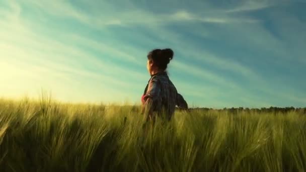 女孩愉快地走过一片麦田 一个年轻女子在夕阳下在田野里旋转 — 图库视频影像