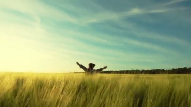소녀는 행복하게 밀밭을 있습니다 해질녘에 들판에서 소용돌이치는 — 비디오