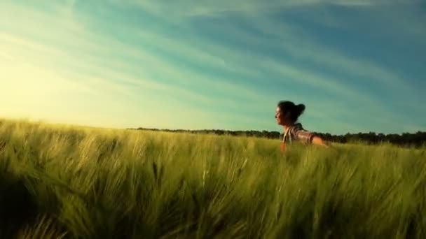 Menina Alegremente Caminha Por Campo Trigo Uma Jovem Gira Campo — Vídeo de Stock