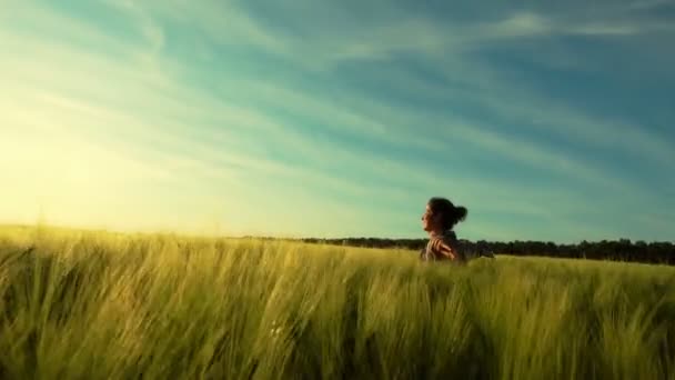 Niña Camina Felizmente Por Campo Trigo Una Joven Gira Campo — Vídeos de Stock