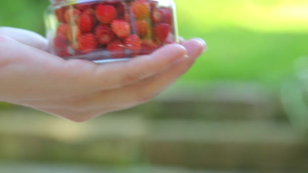 Frauenhände Mit Erdbeeren Nahaufnahme Mädchen Hält Erdbeeren Den Händen — Stockvideo