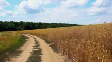 Araba penceresinden bir ülke yol görünümünde sürüş. Arabadan kırsal dolambaçlı toprak yol görünümü. 