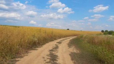 Araba penceresinden bir ülke yol görünümünde sürüş. Arabadan kırsal dolambaçlı toprak yol görünümü. 