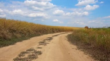 Araba penceresinden bir ülke yol görünümünde sürüş. Arabadan kırsal dolambaçlı toprak yol görünümü. 