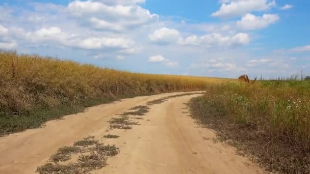 Araba Penceresinden Bir Ülke Yol Görünümünde Sürüş Arabadan Kırsal Dolambaçlı — Stok video